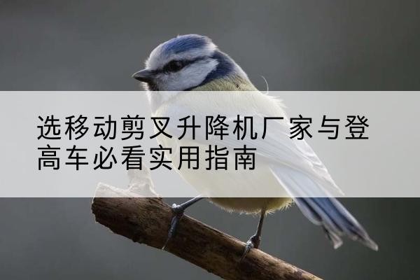 南充电动升降机厂家-选移动剪叉升降机厂家与登高车必看实用指南
