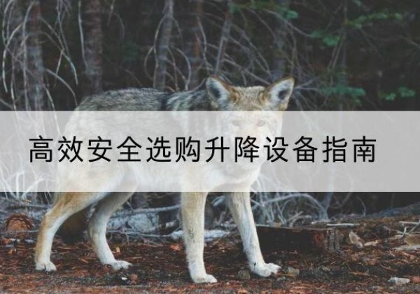 南充升降货梯厂家推荐-*安全选购升降设备指南