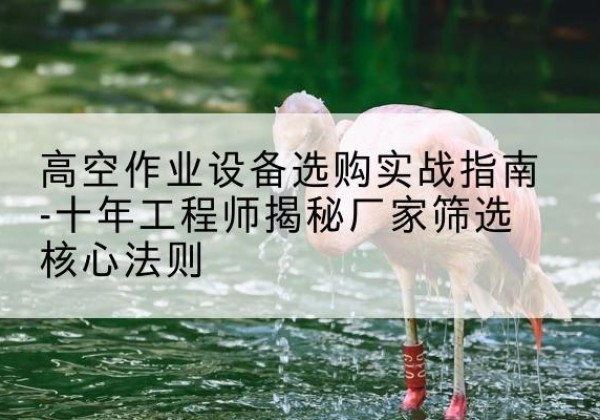 南充剪叉式升降机厂家-高空作业设备选购实战指南-十年工程师揭秘厂家筛选核心法则